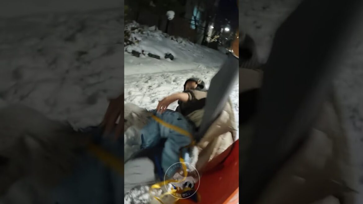 강아지와 같이 눈썰매를 🛷  타면? The one who lost the sled 강아지와 같이 눈썰매를 🛷  타면? The one who lost the sled