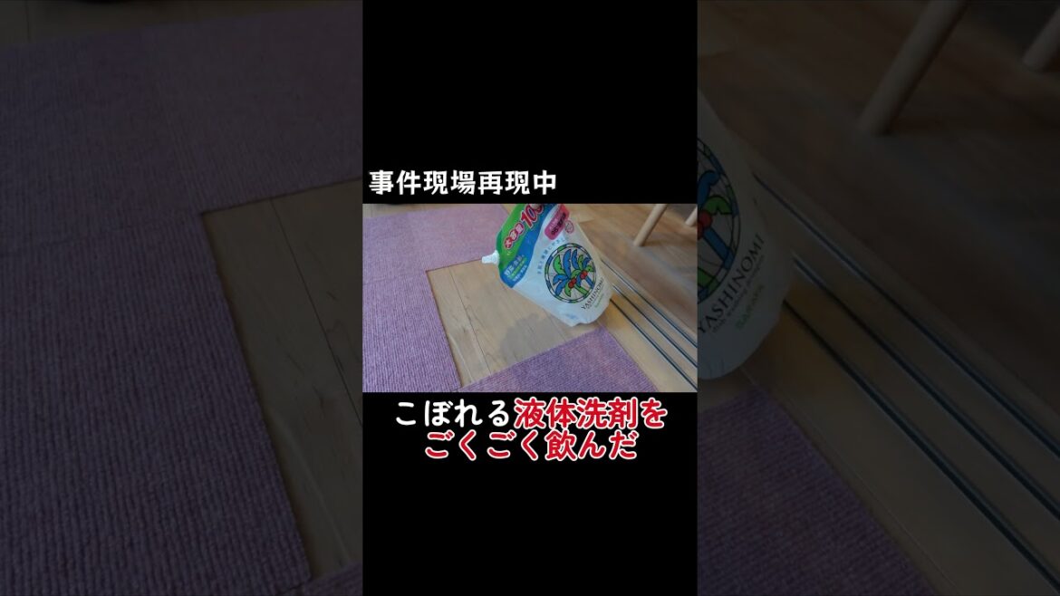 【緊急事態】チュパ犬が洗剤を誤飲#ボストンテリア #ボステリ #犬のいる生活 #可愛い #bostonterrier #puppy