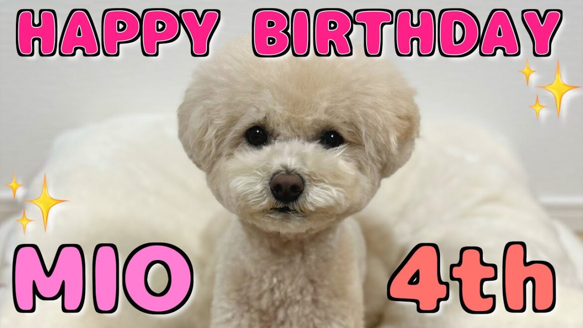 三桜4歳の誕生日LIVE！