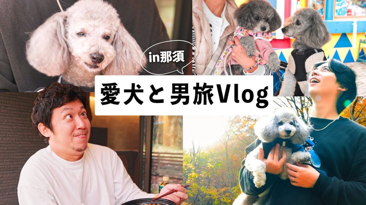 🐶【那須旅Vlog】愛犬と紅葉満開🍁のコテージ宿泊｜遊園地でワンコイベント参加したら大パニックに🎡