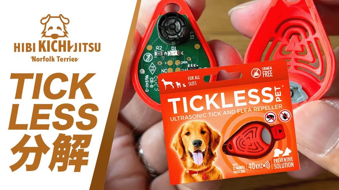 パパ吉   TICKLESS [チックレス]の電池交換【愛犬キチ dog ノーフォークテリア norfolkterrier 】
