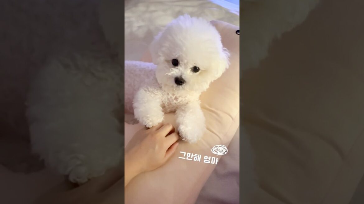 멈출수 없는 귀여움😋