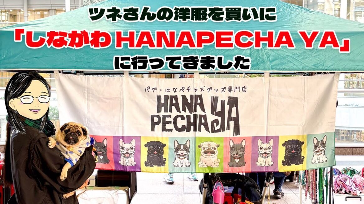 【爆笑パグ動画】おしゃれ番長？ツネさんの洋服を買いに、「しながわHANAPECHA YA」に行ってきました！