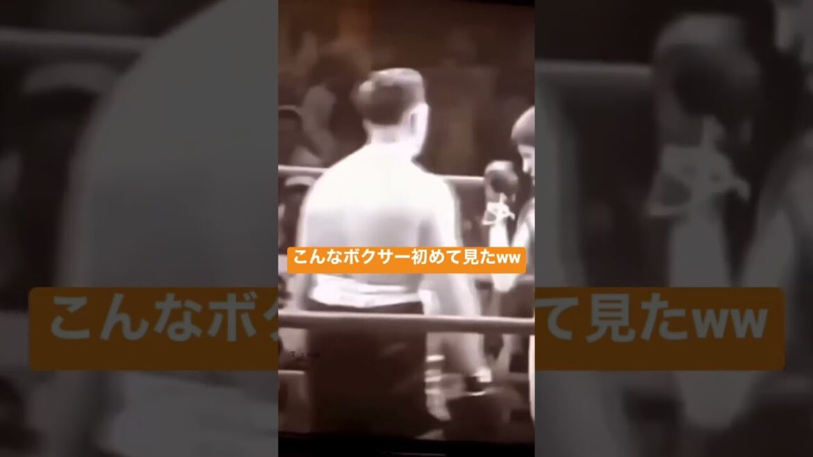 【秒で笑える】ノーガードボクサーw