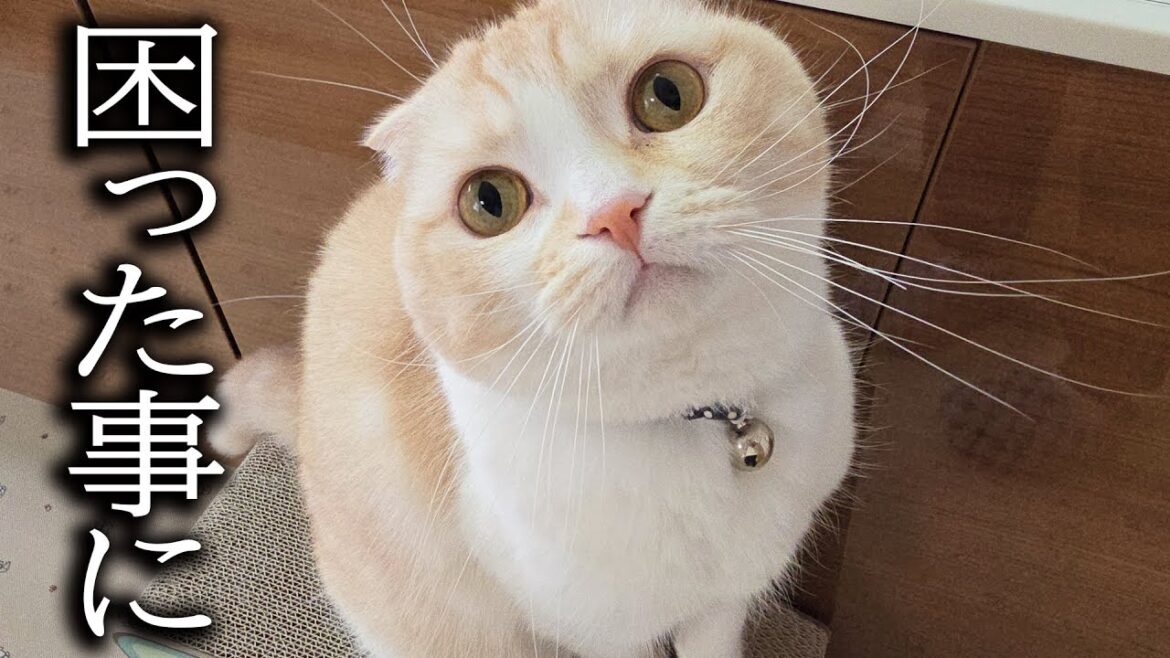 大失敗して困ってます...