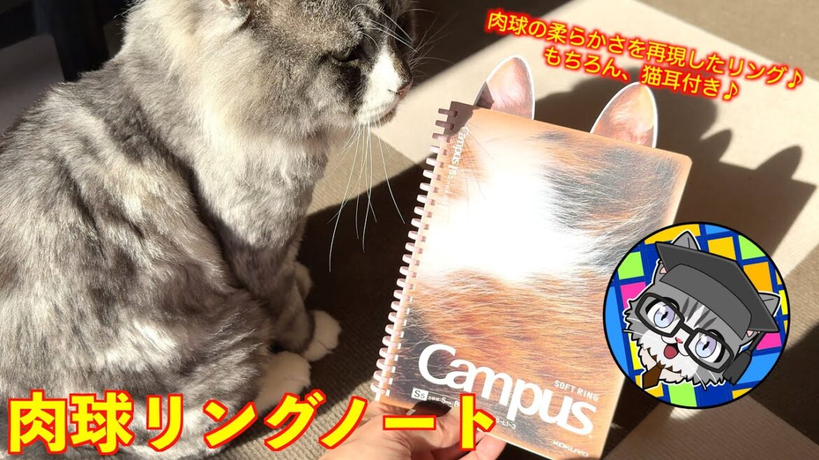 【肉球リングノート】猫好き必携！ノートもやっぱり、猫仕様がいいね♪〜コペ様ワクチン接種にゆく