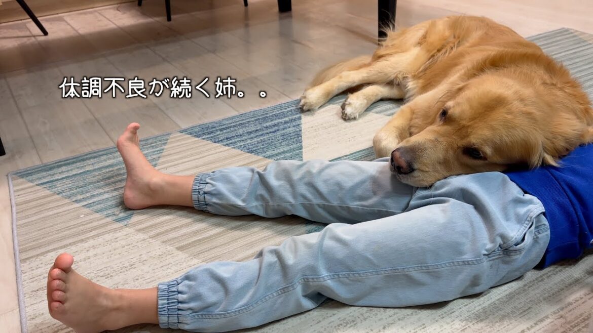 もう離れたくない気持ちが強過ぎて、ずっと姉のそばにいる愛犬