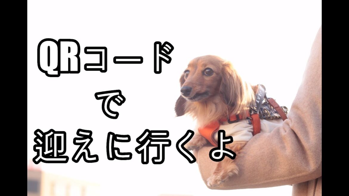 【迷子撲滅】最先端の迷子札は画期的でした【カニンヘンダックスえびすの日常】