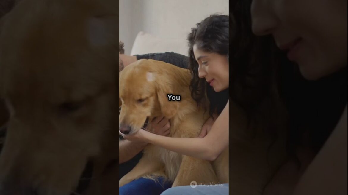 Rocky the Hero Rottweiler_ Selfless Sacr #doglovers #dogvideos