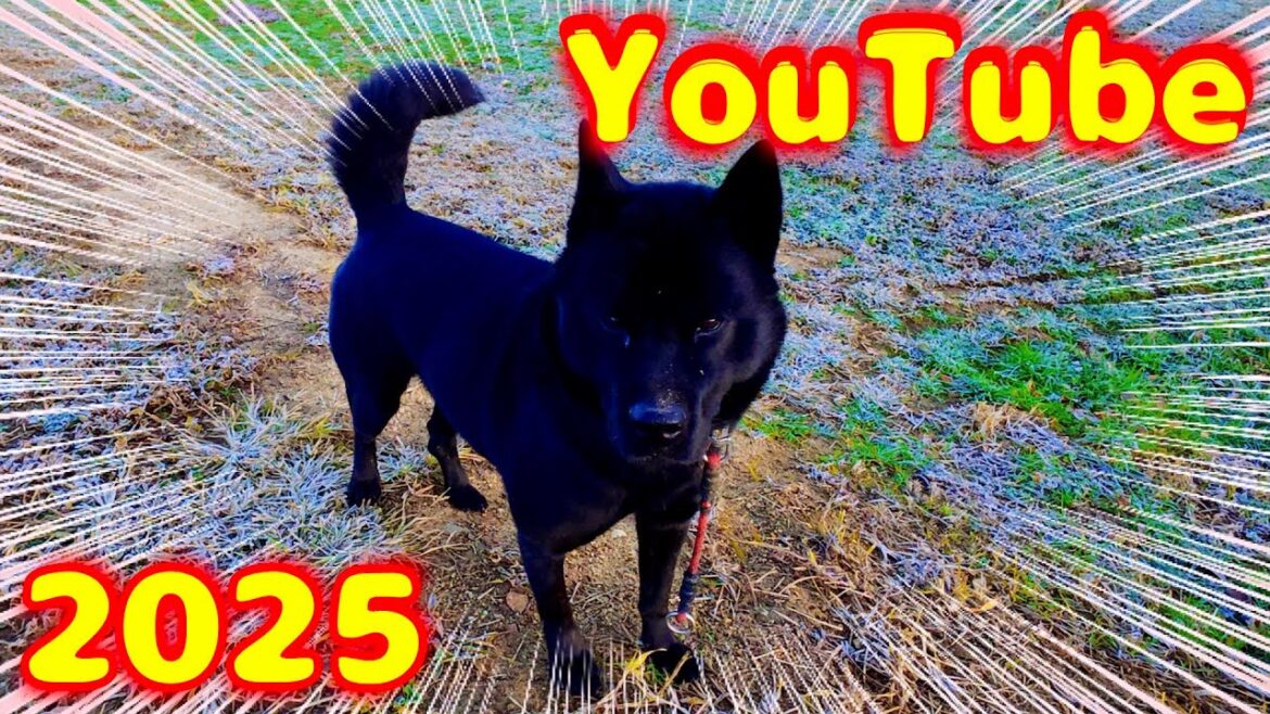 2025年 YouTubeがとんでもない事になります