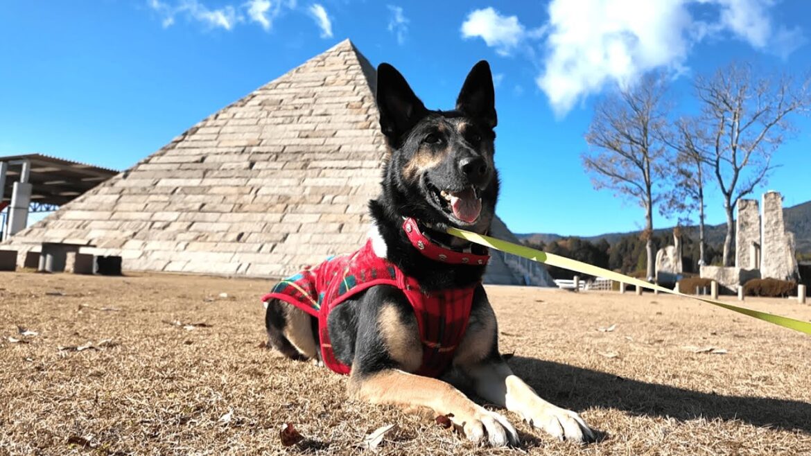 日本最大のピラミッドへ行ったら、愛犬がまさかのスフィンクスになりましたｗ【ストーンミュージアム博石館】