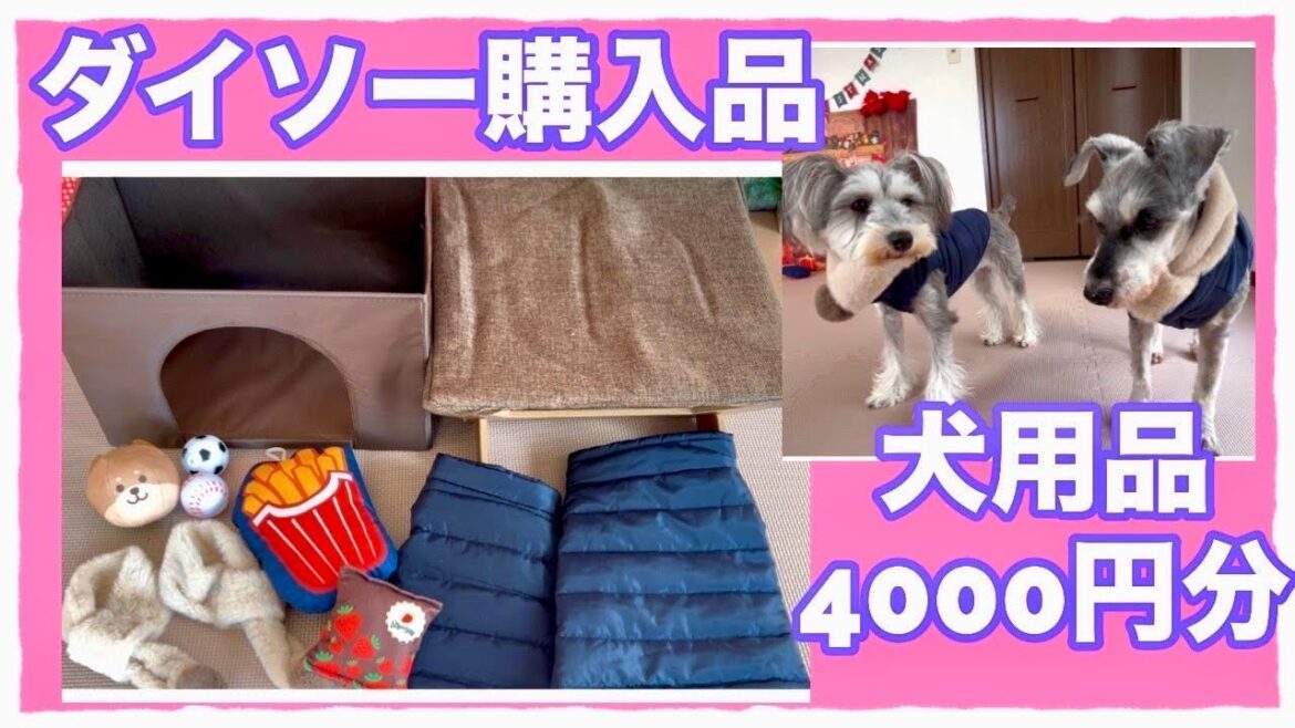 【ダイソーの犬グッズ】100均で何でも揃う!コスパ最高 【ダイソーの犬グッズ】100均で何でも揃う!コスパ最高