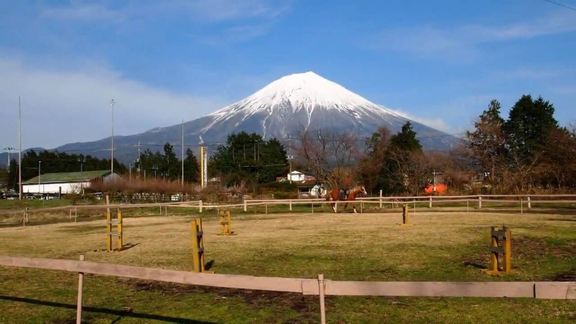 I can't give you anything... but my love　愛がすべて