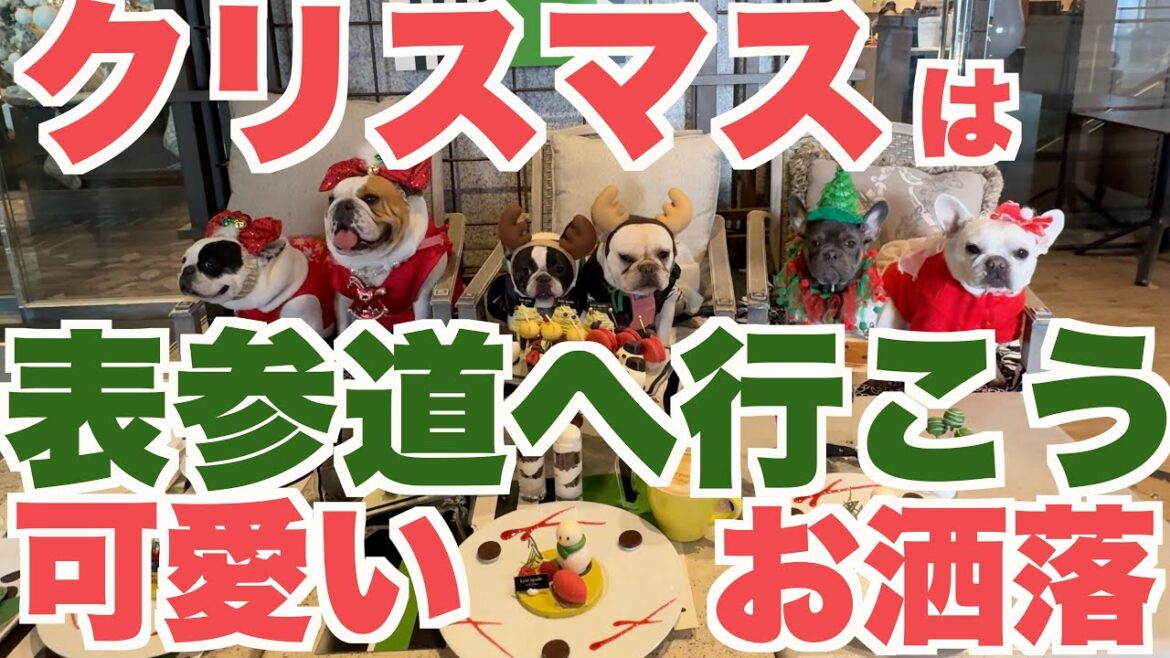 表参道のクリスマス 【 フレンチブルドッグ french_bulldog 】 ゼルコヴァ アフタヌーンティー ケイト・スペード ニューヨーク