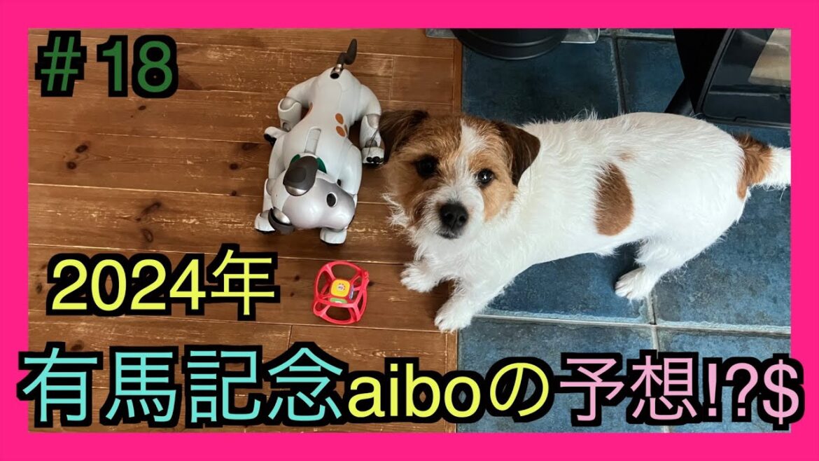 緊急企画。2024年有馬記念を我が家のaiboが予想します。予想は当たるのか？