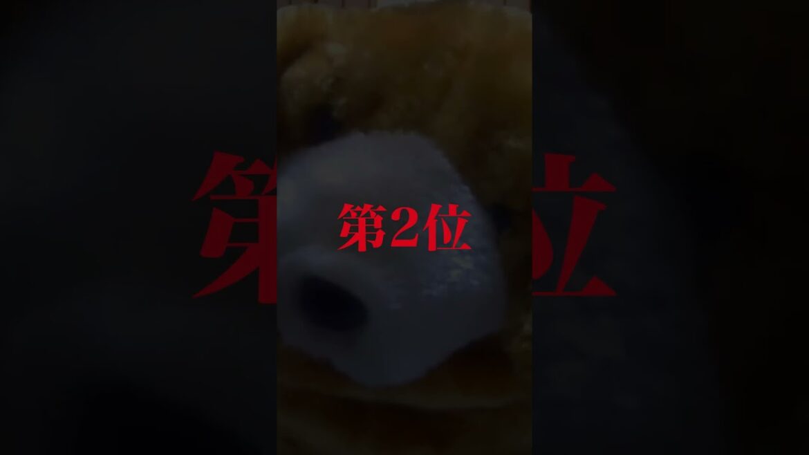 世界一値段が高い犬種3選