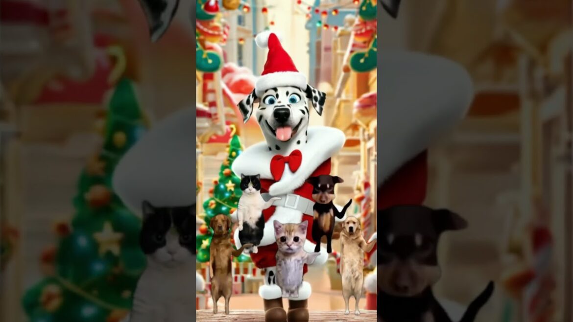 ダルメシアン(Dalmatians)【Jingle Bells Catmemes Dance 】 shorts