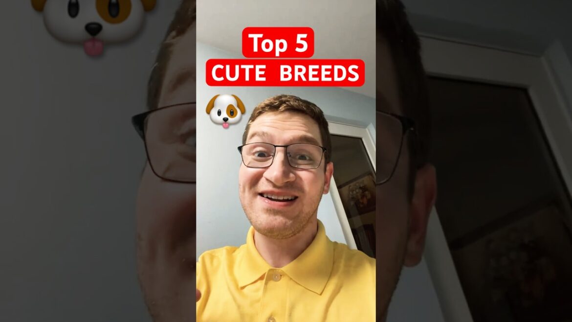 Top 5 CUTEST Dog Breeds!