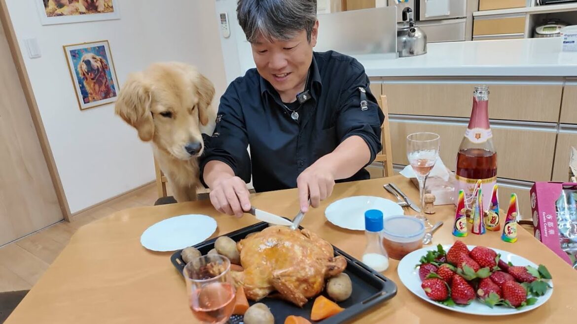 初めて迎えるクリスマス!自家製ローストチキンを見つめる子犬が可愛い過ぎる。【Golden Retriever japan】 初めて迎えるクリスマス!自家製ローストチキンを見つめる子犬が可愛い過ぎる。【Golden Retriever japan】