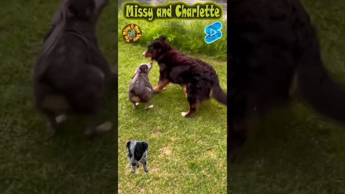 Missy and Charlette Part 1
