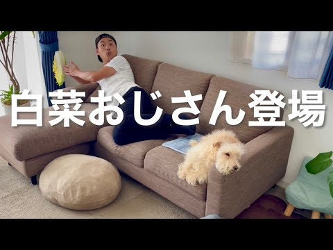 白菜おじさんが愛犬にサプライズ!(はくサプ) 白菜おじさんが愛犬にサプライズ!(はくサプ)