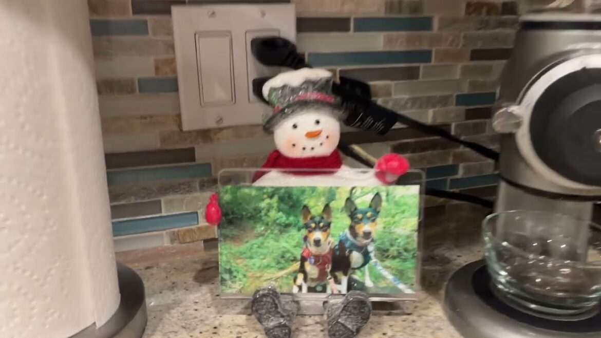 Basenji Adventures Wishes You A Very Sherry Christmas!