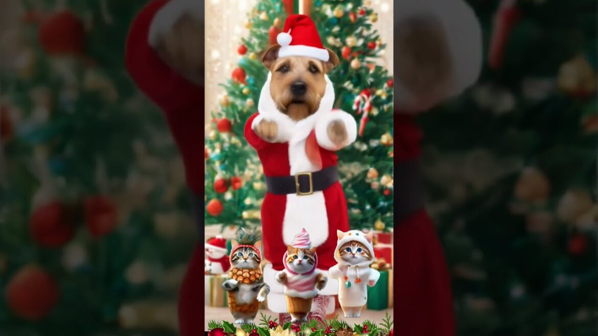 ヨークシャーテリア(Yorkshire Terrier)【Jingle Bells Santamium】-shorts