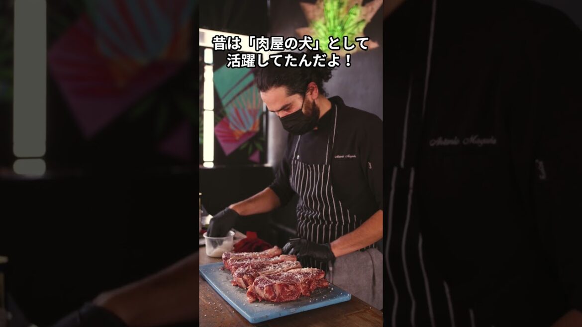 ロットワイラー知ってる？意外な事実に驚きの4択クイズ！