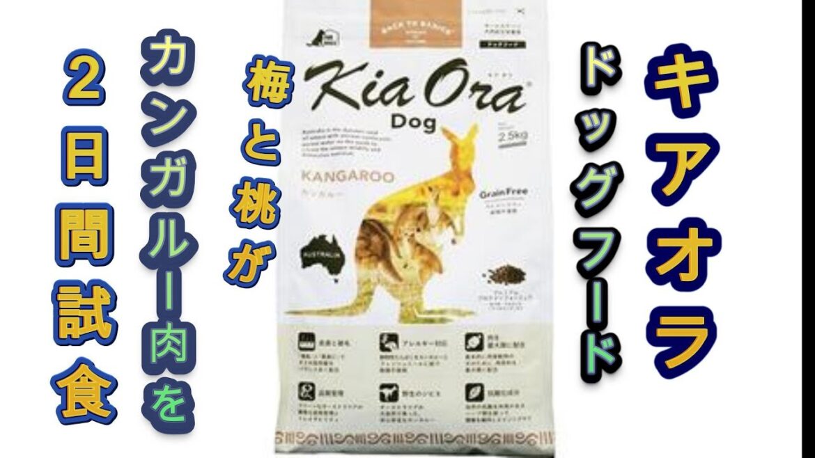 キアオラ　カンガルーのドッグフードをビションフリーゼの桃とトイプードルの梅に与えた結果..