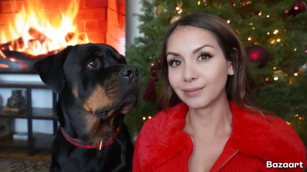 Life owning a pet ROTTWEILER
