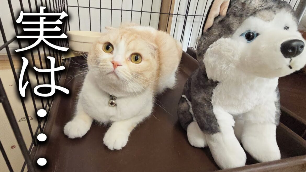今後について… 今後について...
