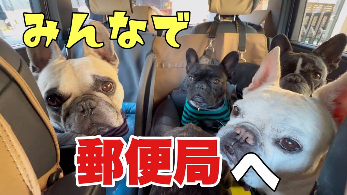 2025年度カレンダー発送完了！みんなで郵便局に出しに行ってきたよ