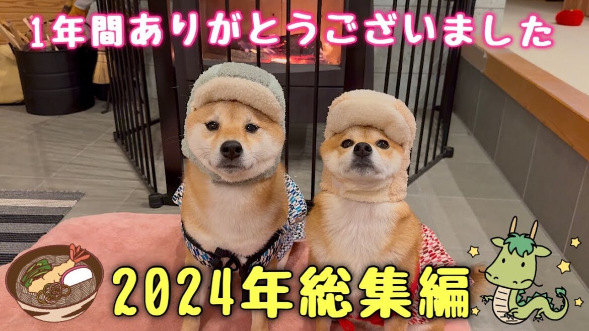 【2024年総集編】今年もありがとうございました!良いお年を! 【2024年総集編】今年もありがとうございました!良いお年を!