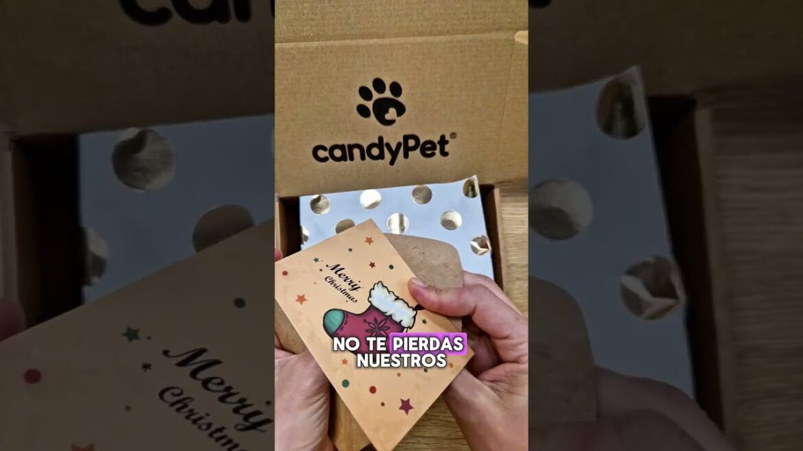 Los Reyes salen mañana, no te quedes sin tu regalo