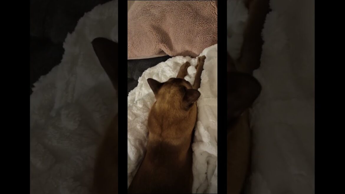 The world is mine ๐โค๏ธ The world is mine ๐โค๏ธ