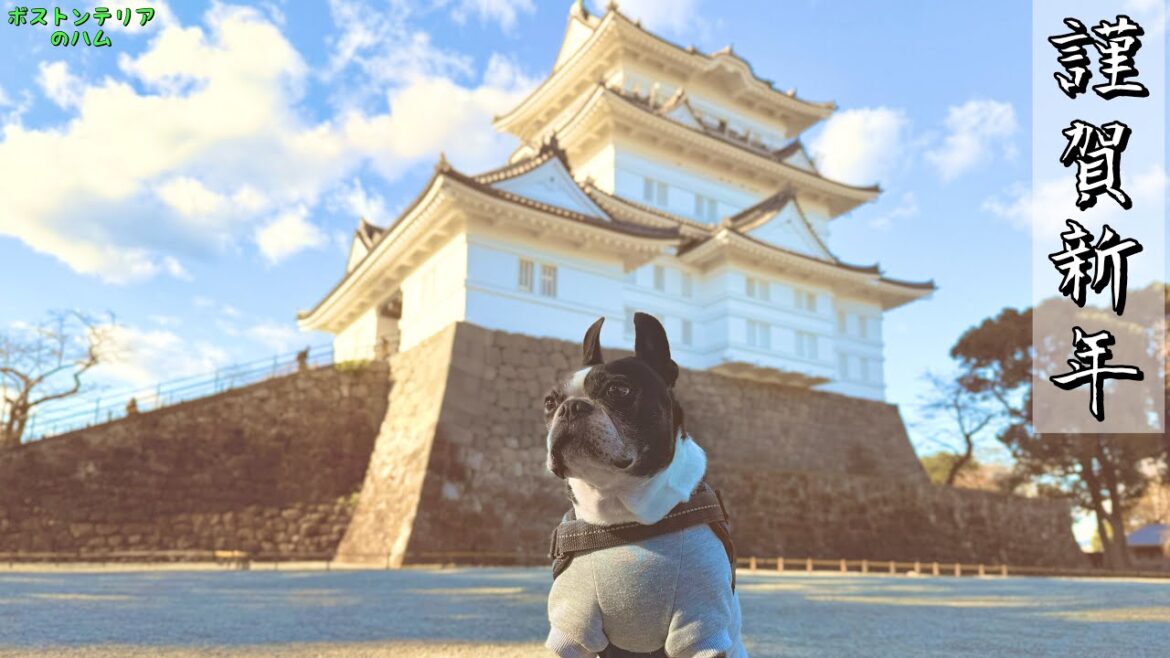 明けましておめでとうございます