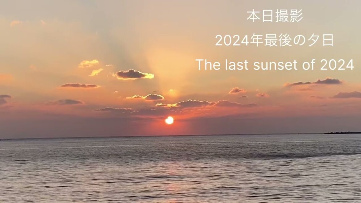 2024年初めて坂を走るフレブル子犬と最後のご挨拶 #あしゅらごん 2024年初めて坂を走るフレブル子犬と最後のご挨拶 #あしゅらごん