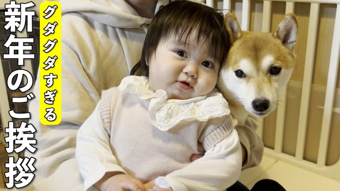 1歳児と柴犬と一緒に新年の挨拶に挑戦したらカオスになってしまった…