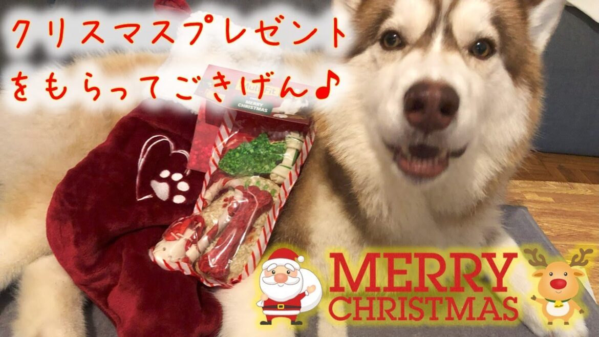 【71】メリークリスマス