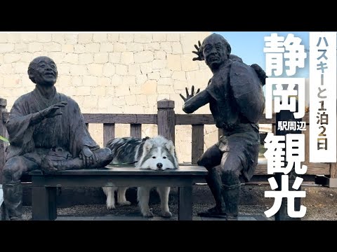 【静岡駅周辺観光】大型犬と都市に泊まる新鮮体験!ハスキーと静岡を街ブラ 【静岡駅周辺観光】大型犬と都市に泊まる新鮮体験!ハスキーと静岡を街ブラ