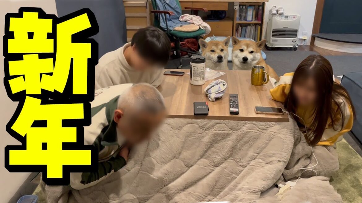 こまちく家族より〜今年もよろしくお願いいたします