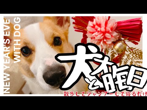 犬と大晦日 犬と大晦日
