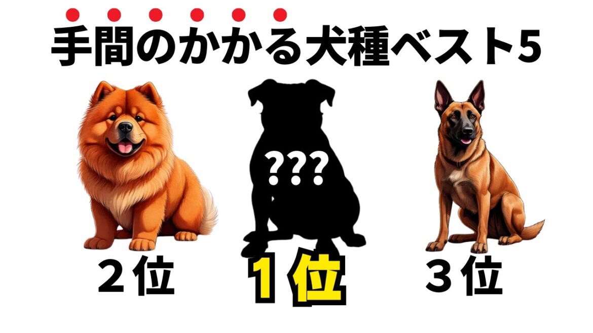 【犬の雑学】飼育難易度が高すぎる犬種ランキングTOP5！飼い主も驚きの〇〇な習性とは...？
