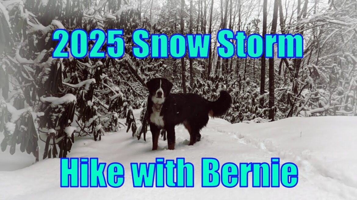 Bernie’s Mountain 2025 Snow Storm Bernie's Mountain 2025 Snow Storm