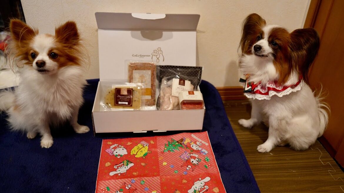 クリスマスにココグルメのディナーを頼んでみた🍽️