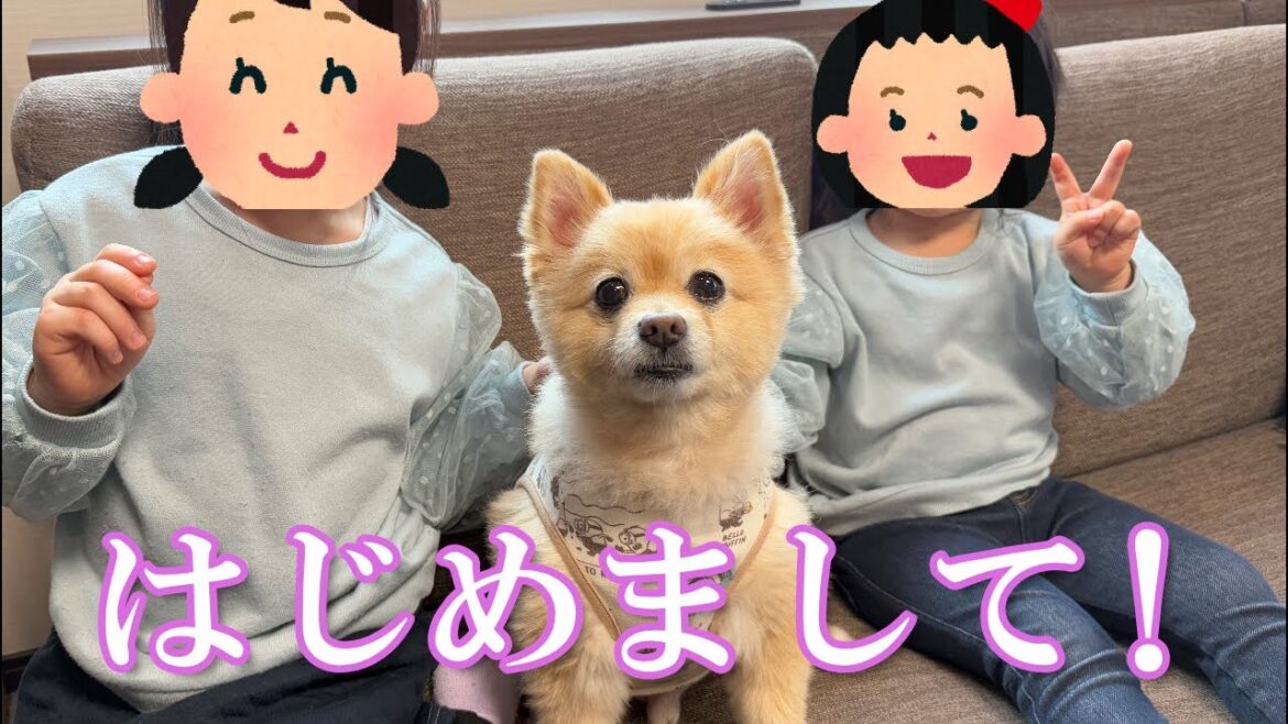 視聴者さんが実家に遊びに来てくださいました！
