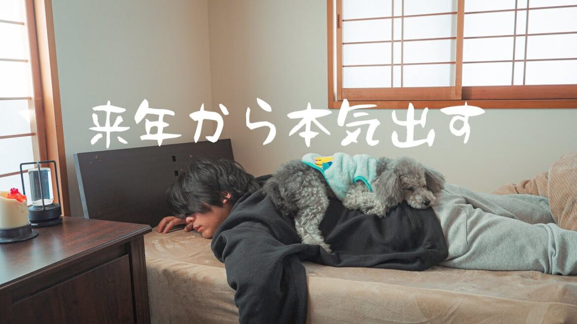 🐶正月気分がまだ抜けないトイプードルのゆるい新年の始まり