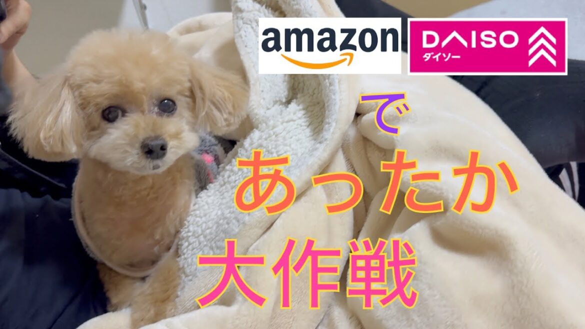 寒〜い家で過ごすトイプードルの暖か大作戦!ダイソーやアマゾンで暖かDIYやってみました 寒〜い家で過ごすトイプードルの暖か大作戦!ダイソーやアマゾンで暖かDIYやってみました