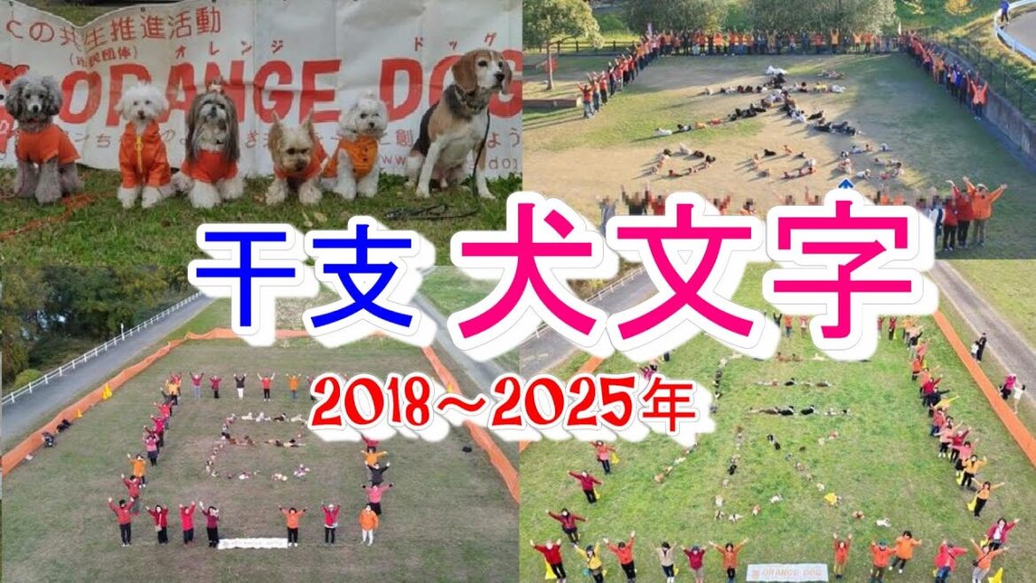 【ワンコだけで作る犬文字】老犬トイプードル 干支7選