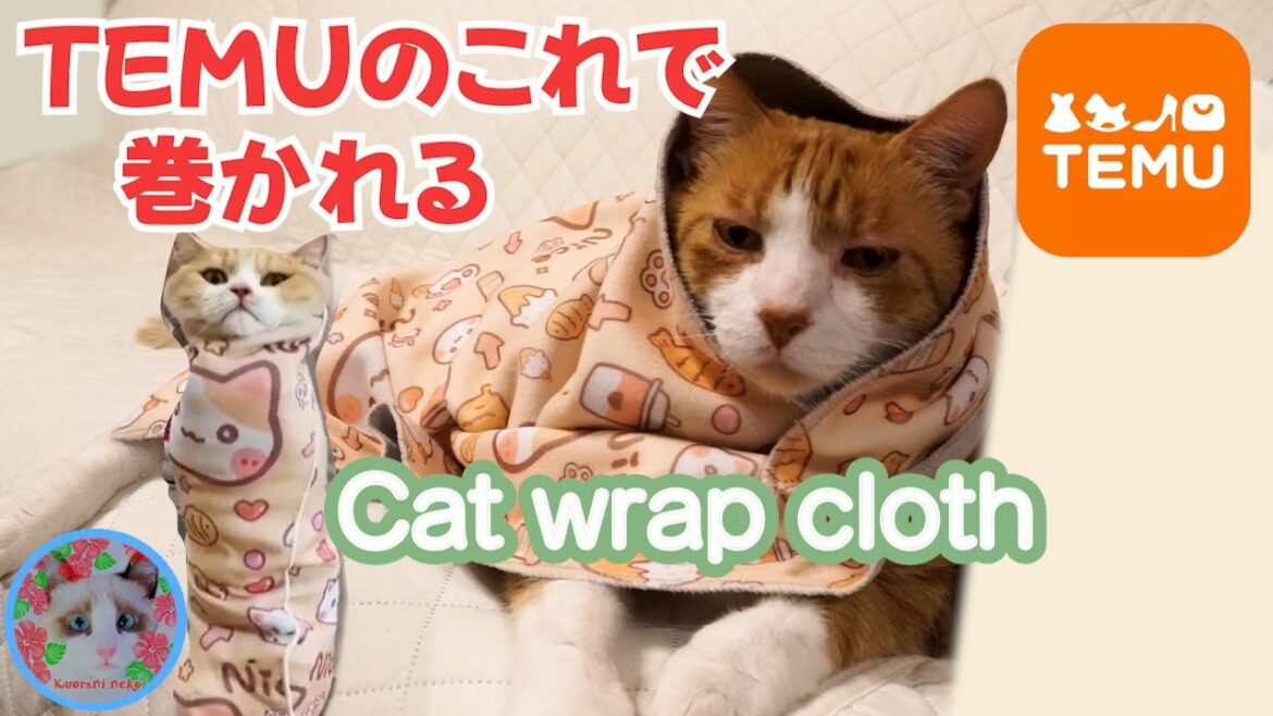激安TEMUの猫用品で猫をくるんで簡単に爪切りをしてみたい夢があります Cat wrap cloth 激安TEMUの猫用品で猫をくるんで簡単に爪切りをしてみたい夢があります Cat wrap cloth